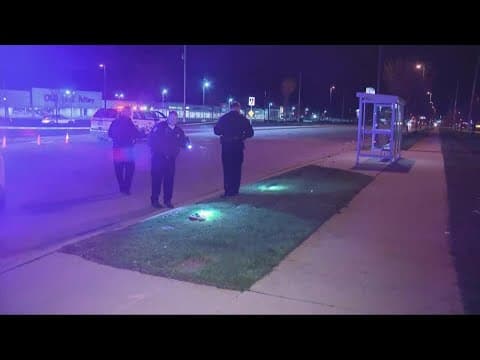 Police release new details in woman's hit-and-run death