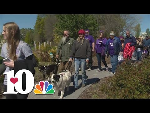 Alzheimer's Tennesee hosts Foothills Walk
