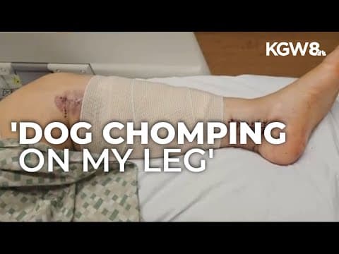 Portland woman mauled by dog while walking to work, calls for action