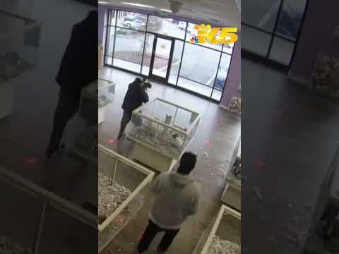 Thieves caught on camera stealing puppy from Puyallup pet store