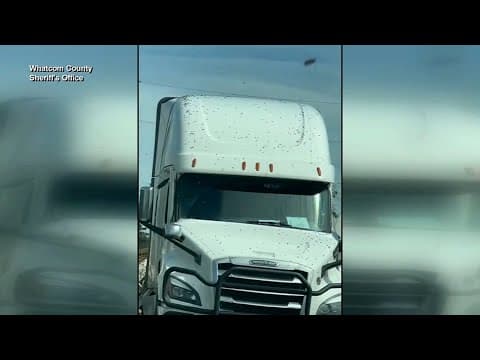 Millions of bees on the loose after big rig wreck in Washington