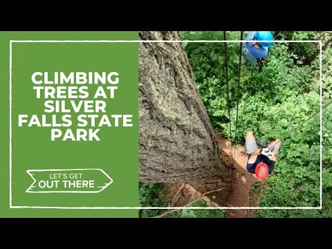 Want to branch out? Try tree climbing at Silver Falls State Park