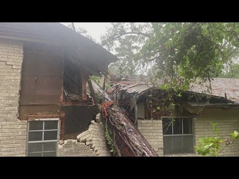 Grandmother has warning for others after insurance mishap when Beryl caused tree to fall on home
