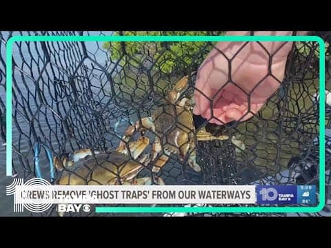Ghost gear: The debris haunting Tampa Bay waters