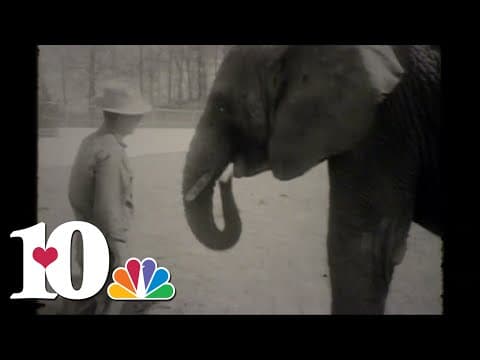 WBIR Vault: Zoo Knoxville welcome first elephant (1963)