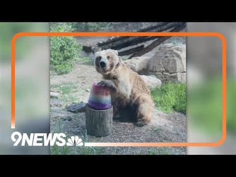 Zoo staff help animals beat the heat and stay cool