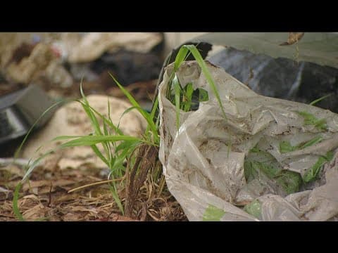 'Cash for Trash' is back | Program paying homeless to pick up trash in downtown San Diego