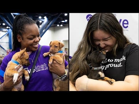 1,000+ homeless cats, dogs available at Mega Adoption Event this weekend at GRB