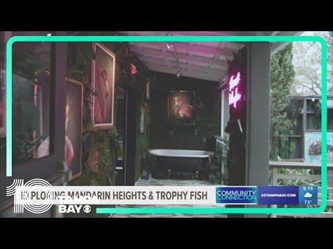 Exploring Mandarin Heights & Trophy Fish: Community Connection (Seminole Heights)