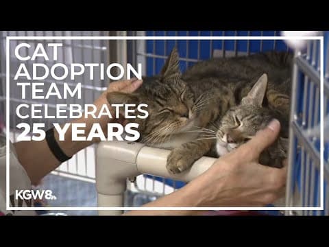 Oregon's Cat Adoption Team celebrates 25th anniversary