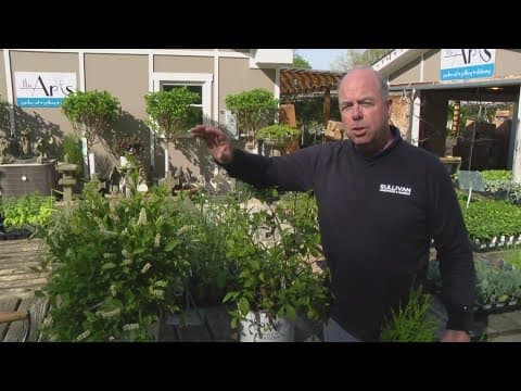 Pat Sullivan tips on the proper way to plant this spring season