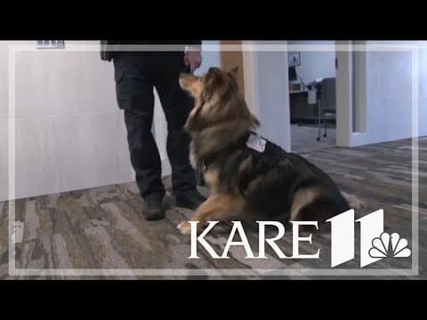 Crystal Police Department gets first facility dog