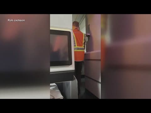 Female stowaway found on Delta flight to Paris after sneaking past security checkpoints in NYC