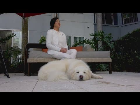 Dog recovering after eating toxic material at boarding facility