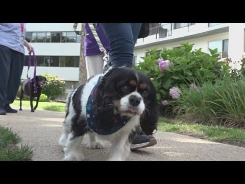 Creating Paws-itive connections at senior living community in Fairfax