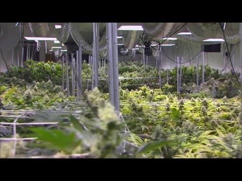 Ban on THC products in Texas heads to Gov. Abbott’s desk after Senate agrees to House changes