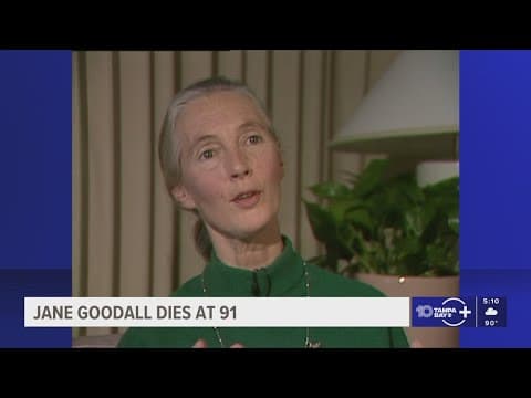 Conservationist Dr. Jane Goodall dies at 91