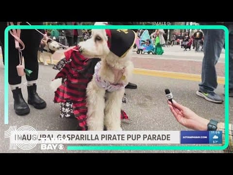 First-ever 'Pirate Pup Parade' takes place in Tampa