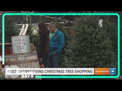 Shopping for a Christmas tree after Thanksgiving