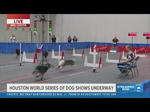 Houston World Series of Dog Shows underway