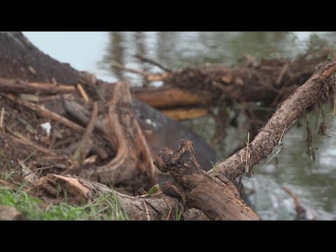 Flood waters in Texas recede, revealing devastation