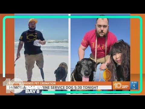 Marine K-9 Shadow dies after battle with cancer