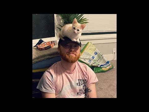 San Diego couple cares a lot about kittens