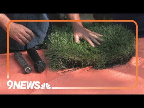 How to tune-up your irrigation in the midsummer