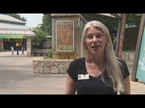 Dallas Zoo Dollar Day gets underway Thursday