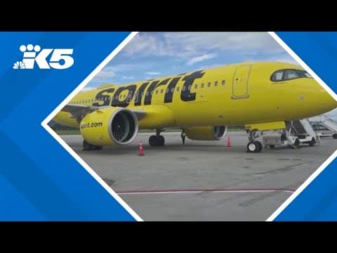 Spirit Airlines jet hit by gunfire while landing in Haiti