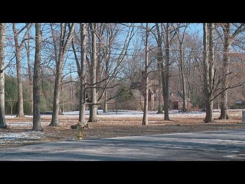 Study raises questions about the use of tax breaks for Whitehall development