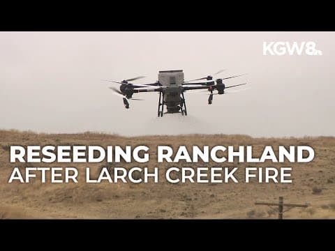 Drones help areas devastated by wildfires bloom again in Oregon