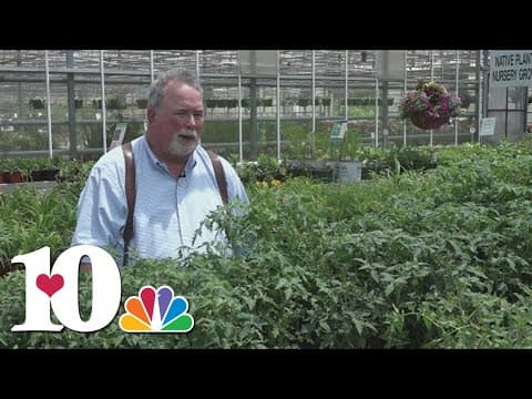 Neal Denton's advice for planting summer vegetables