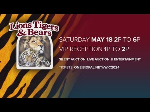 Wild in the Country | Lions Tigers & Bears' fundraiser to support rescued big cats and bears