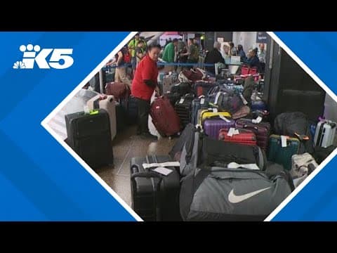 Alaska Airlines IT outage impacts more than 13,000 travelers