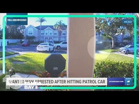 Wanted man arrested after collision with Hillsborough County Sheriff's Office cruiser