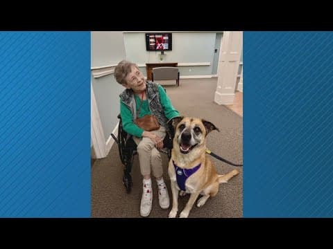 Golden Paws: Shelter Dogs Bring Joy to Seniors in Covington