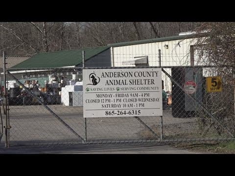 Frustrations rise after Anderson County commissioners vote down animal shelter oversight committee