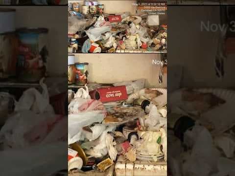 City takes action over infested hoarder house