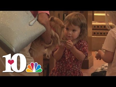 Knoxville church holds the Blessing of the Animals