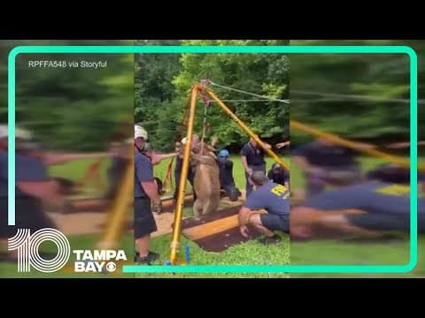 Dora the Donkey rescued from North Carolina sinkhole