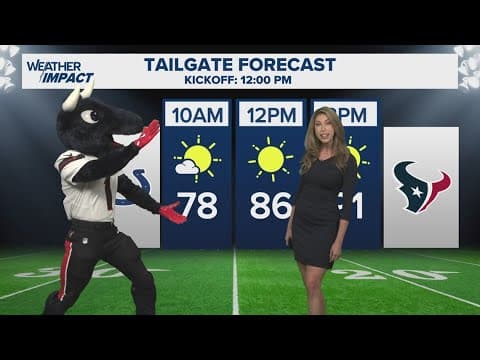 Texans gameday forecast: Sunny with a 100% chance of Toro