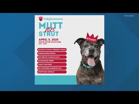 IndyHumane hosting 2025 Mutt Strut fundraiser at White River State Park