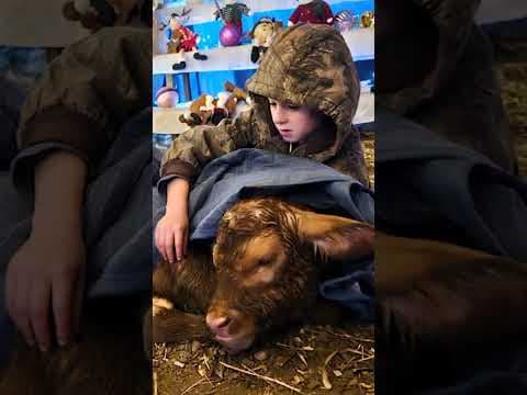 Santa and one of his elves recently delivered a Christmas miracle on this Connecticut farm.