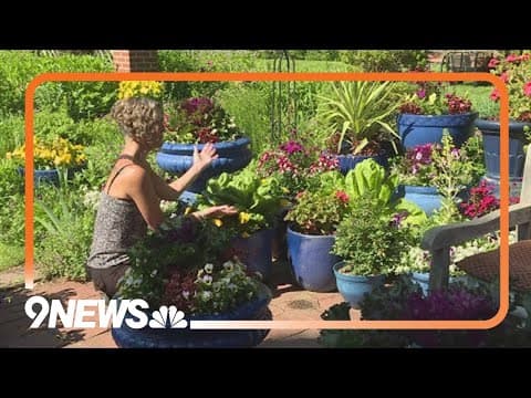 Proctor's Garden: Heat triggers explosive growth