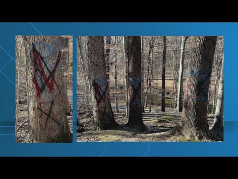 Deadly shooting stemmed from group defacing MS-13 gang graffiti, 3 convicted