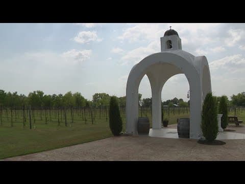 'There's no relief' | Vineyard in Santa Fe battling drought impact