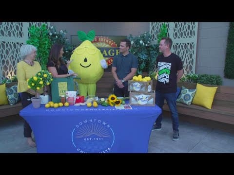 Chula Vista hosting its 25th Annual Lemon Festival