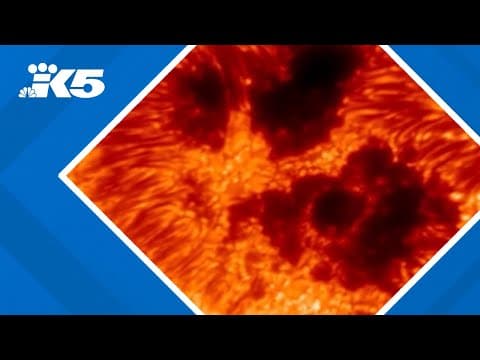 New ultra-detailed photo of the sun