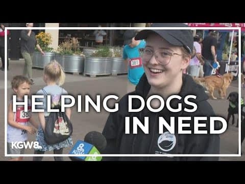 Pup City 2024 at Moda Center support local nonprofit